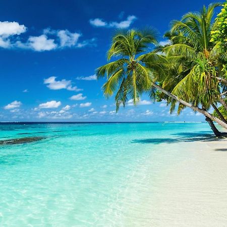 Equa Reef Maldives Hotel Addu City Exterior photo